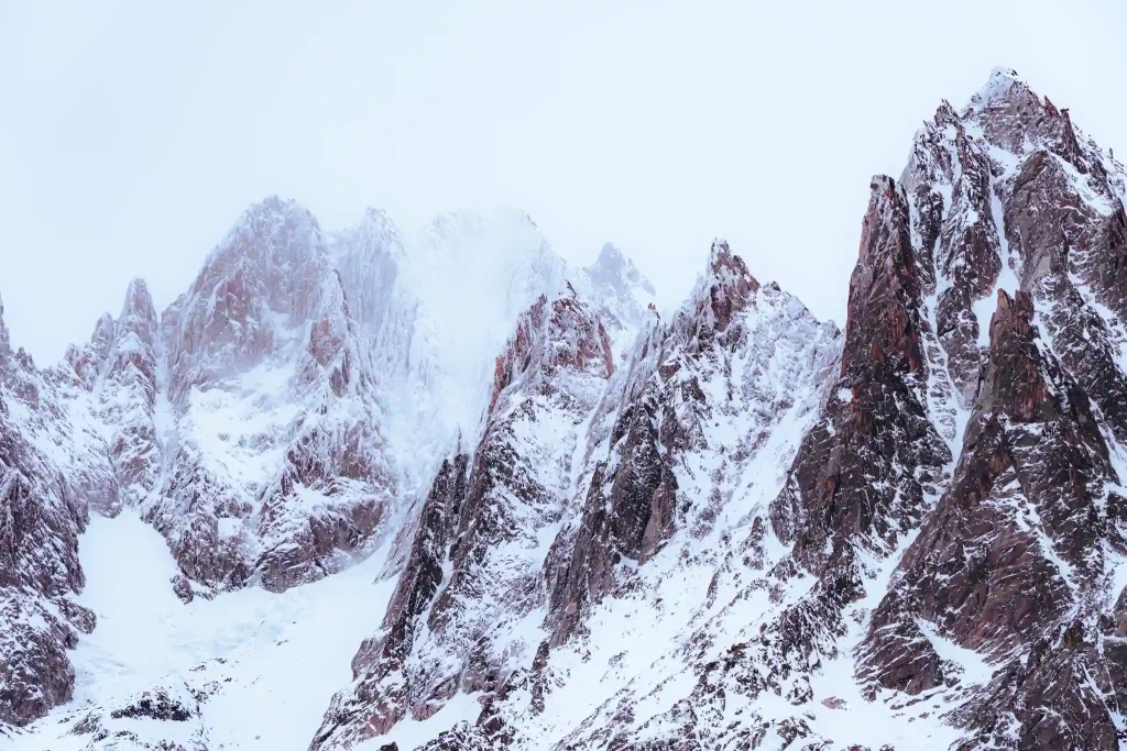 Tirage d'art photographie par Tristan Conil - Collection Vie Sauvage