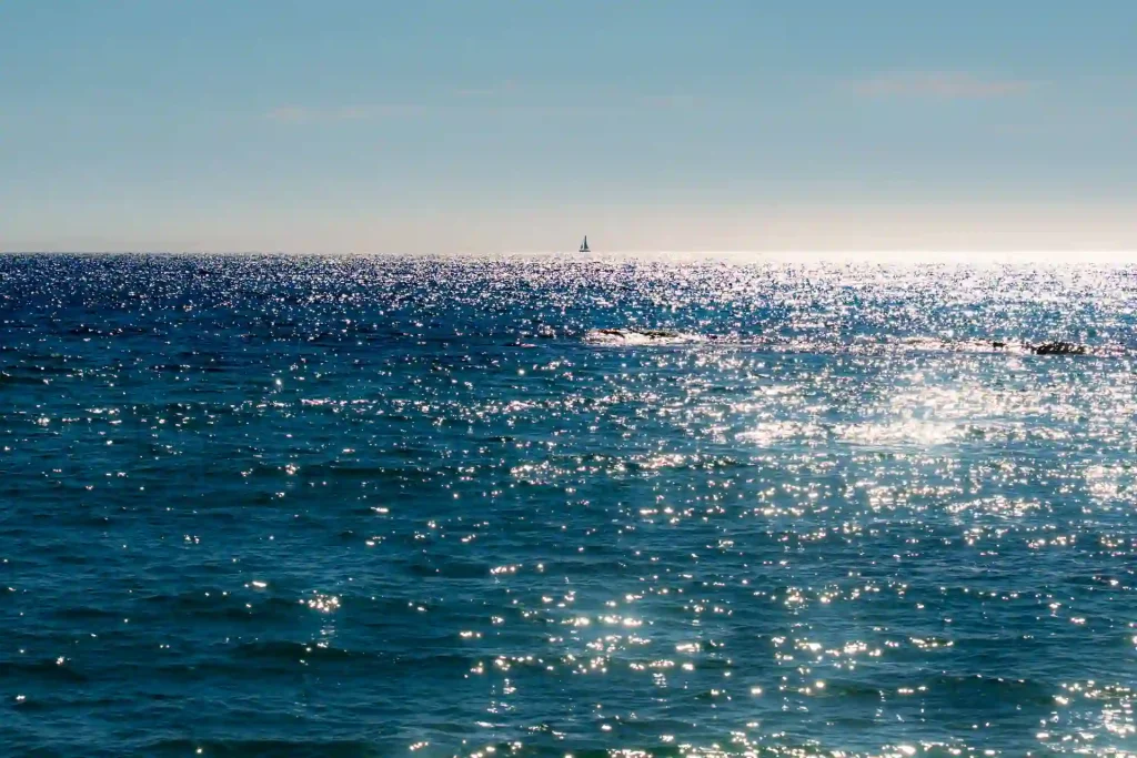 Une plage corse, des amis et des souvenirs d'enfance, le temps des coquillages, un moment de poésie capturé par Tristan Conil.