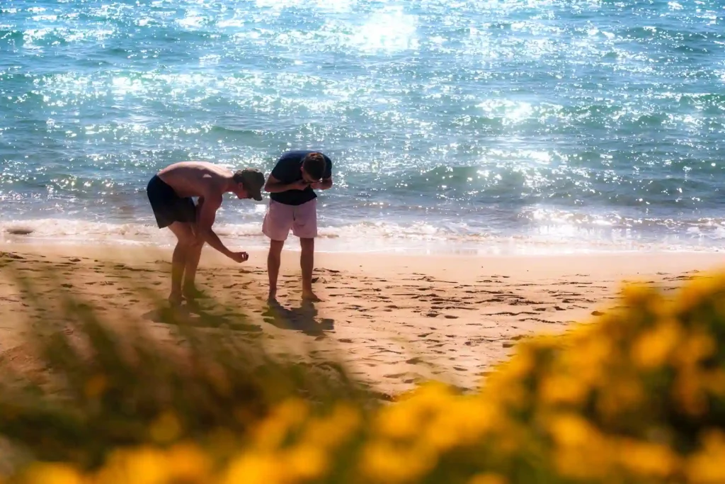 Une plage corse, des amis et des souvenirs d'enfance, le temps des coquillages, un moment de poésie capturé par Tristan Conil.
